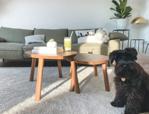 Discover the Latest Innovations in Carpets in Bournemouth and Dorset
